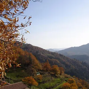 loft-la-rose-desiree.hotels-rhonealpes.com/